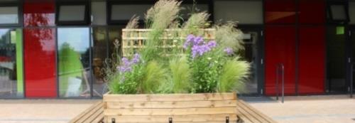 processImage (2).jpg